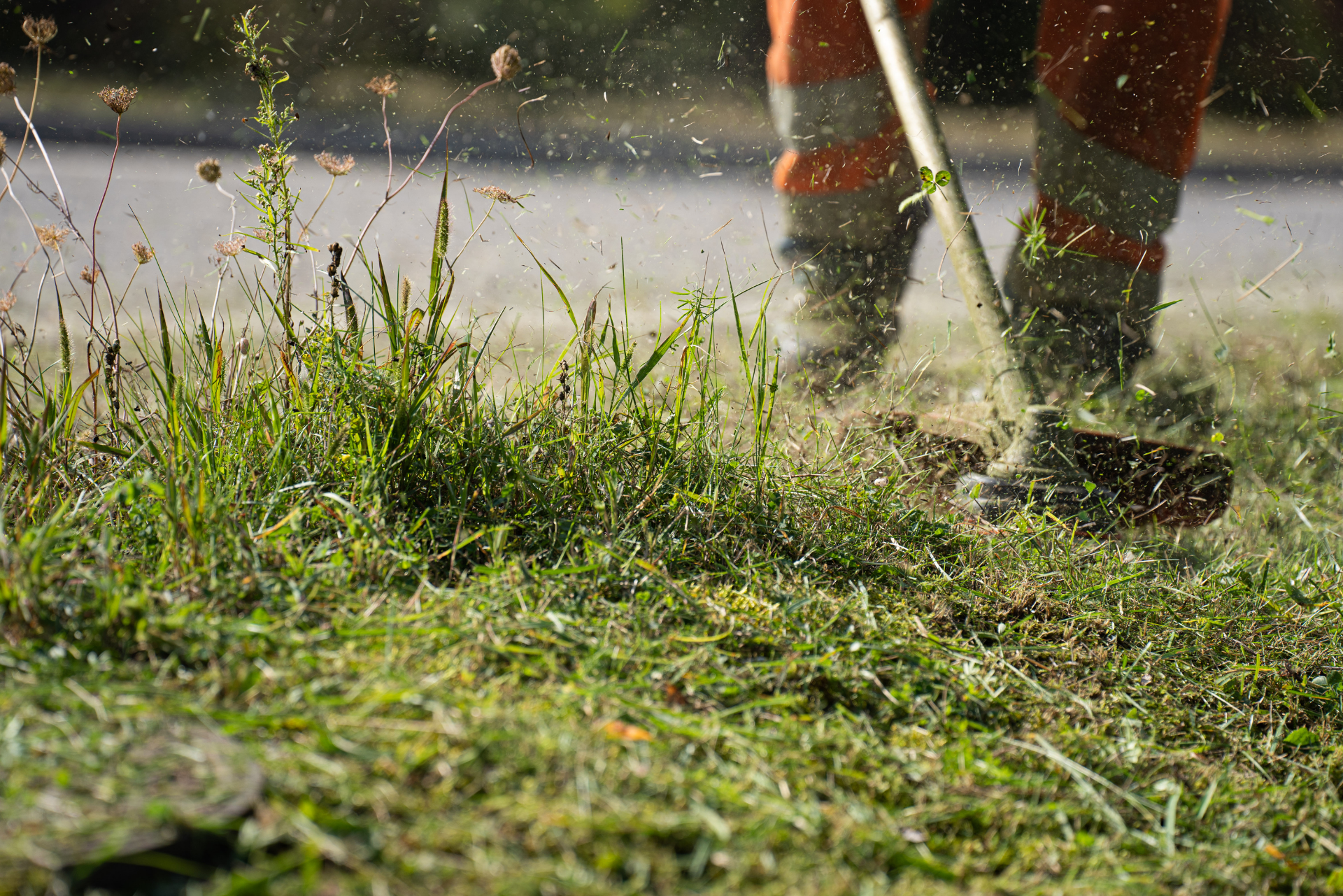 Entretien de jardin : tonte de pelouse et soin du gazon