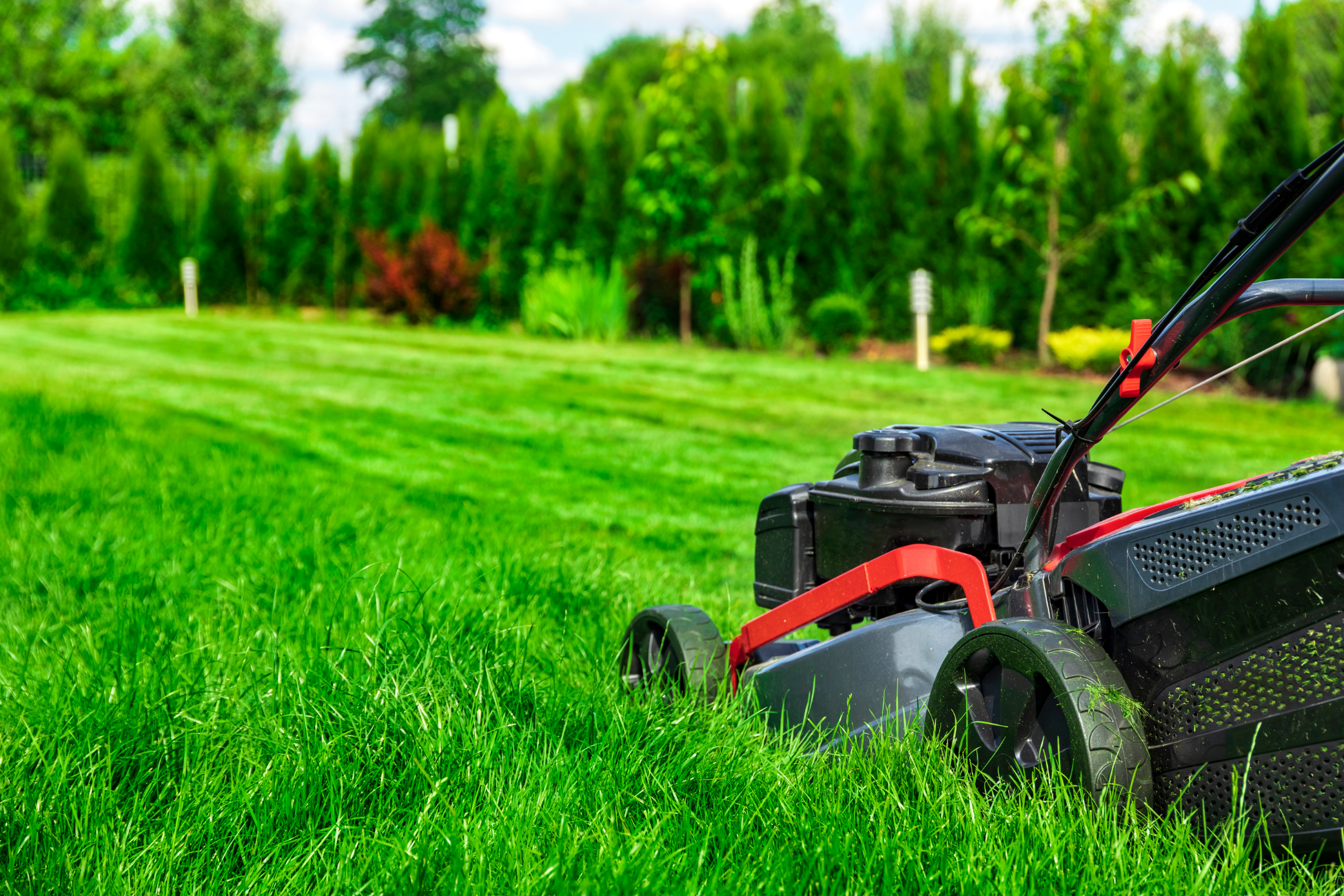 Tonte de pelouse par un jardinier professionnel